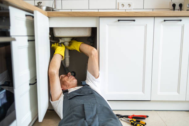 Best Plumbing Inspection Services  in Saylorsburg, PA
